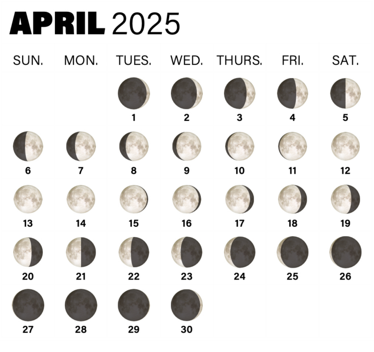 2025 Free Printable April Moon Phase Calendar