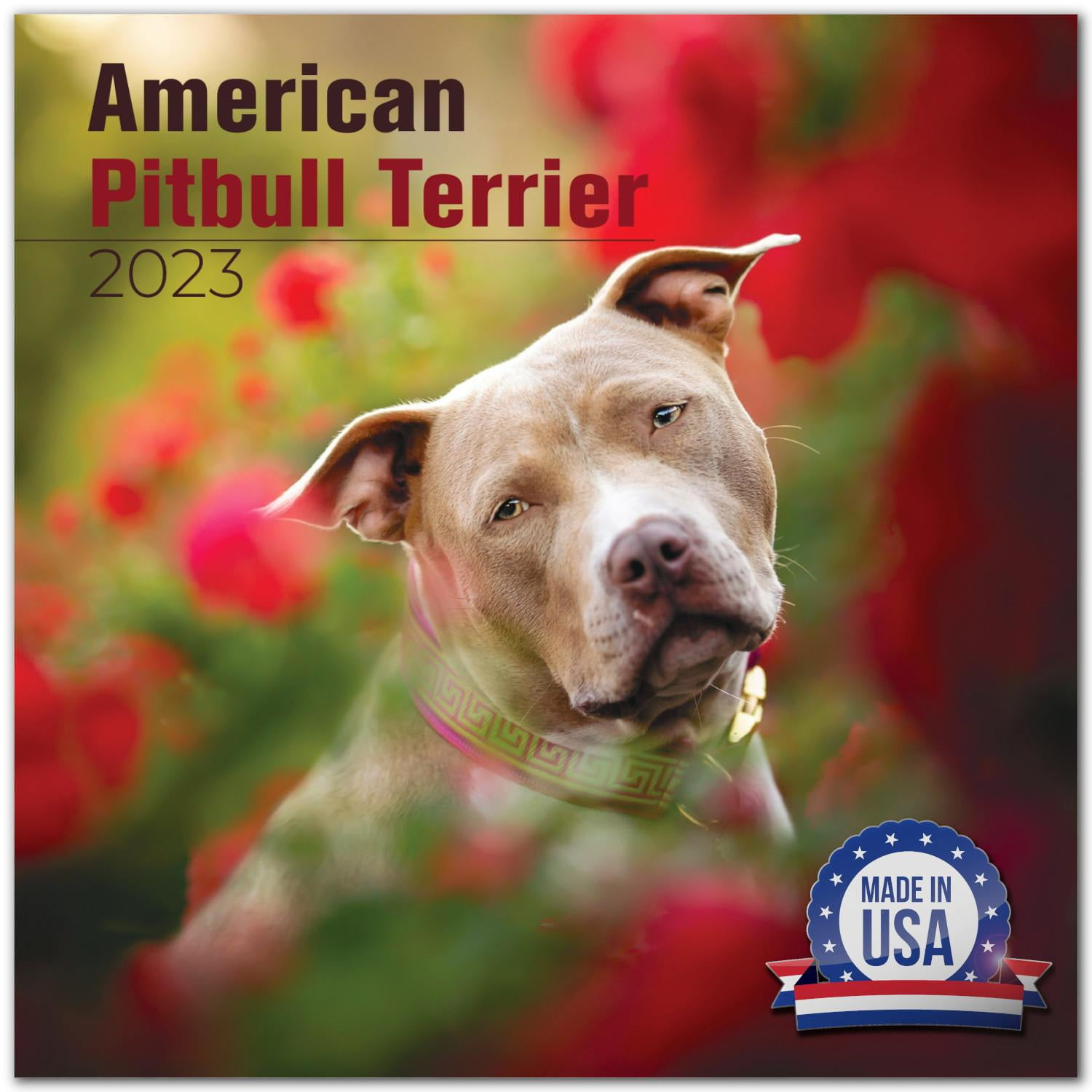2022-2023 Pitbull Calendar - Monthly Wall Calendar - Georgia | Ubuy in Just American Pit Bulls 2025 Calendar Printable