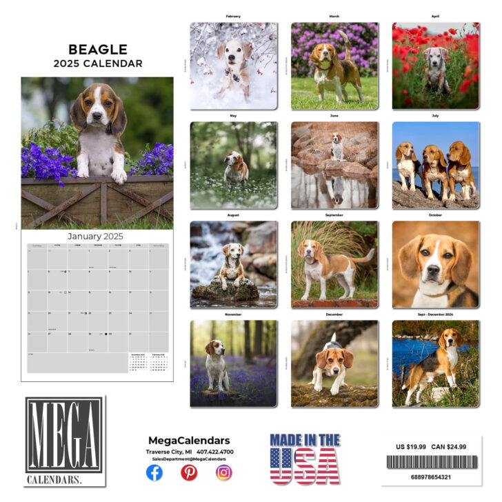 Beagle Rules 2025 Calendar Printable