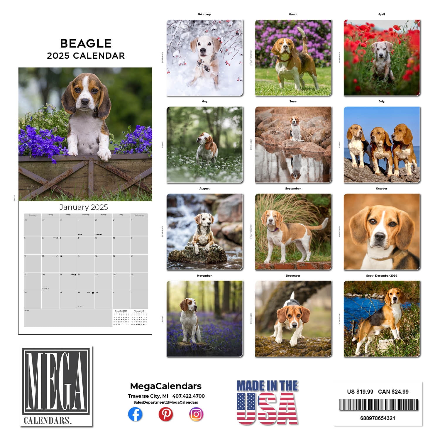 2024 2025 Beagle Calendar - Dog Breed Monthly Wall Calendar - 12 X 24 Open - Thick No-Bleed Paper - Giftable - Academic Teacher&amp;#039;S Planner Calendar inside Beagle Rules 2025 Calendar Printable