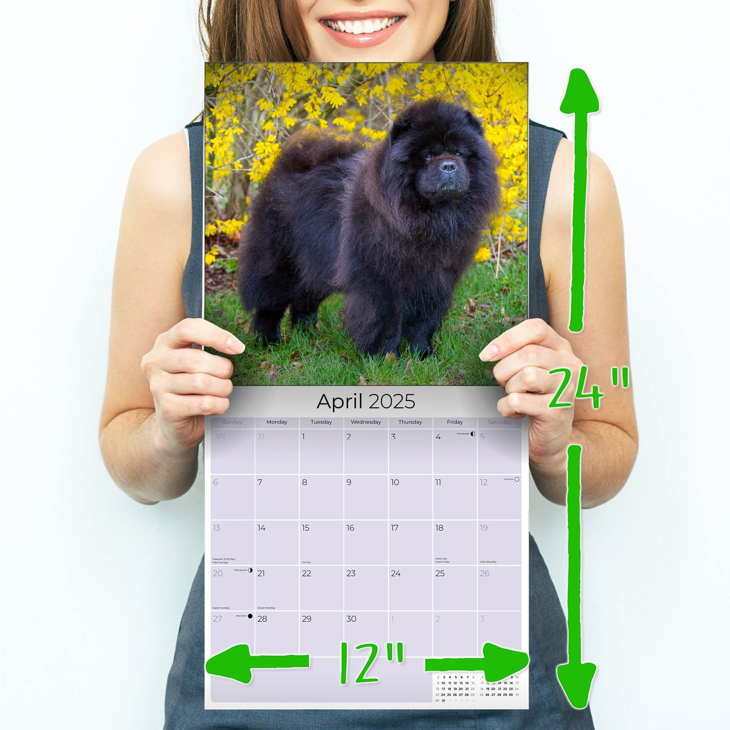 2024 2025 Chow Chow Calendar - Dog Breed Monthly Wall Calendar - 12 X 24 Open - Thick No-Bleed Paper - Giftable - Academic Teacher&amp;#039;S Planner Calendar within Chow Chows 2025 Calendar Printable
