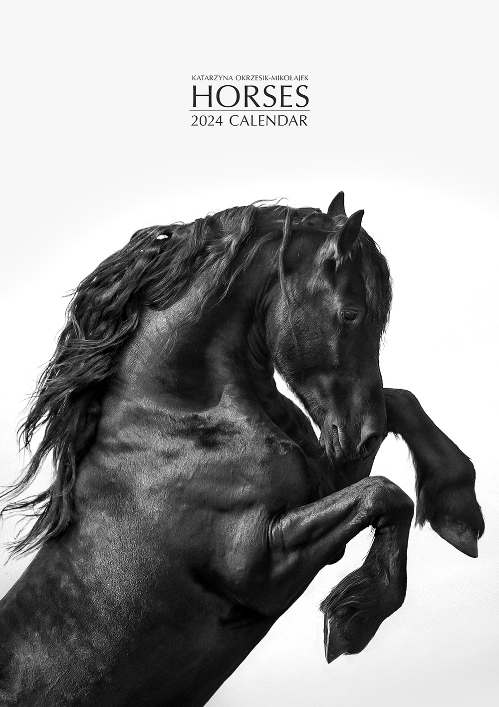 2024 Horses Calendar | Katarzyna Okrzesik-Mikołajek Equine Photography inside Friesians Horses 2025 Calendar Printable