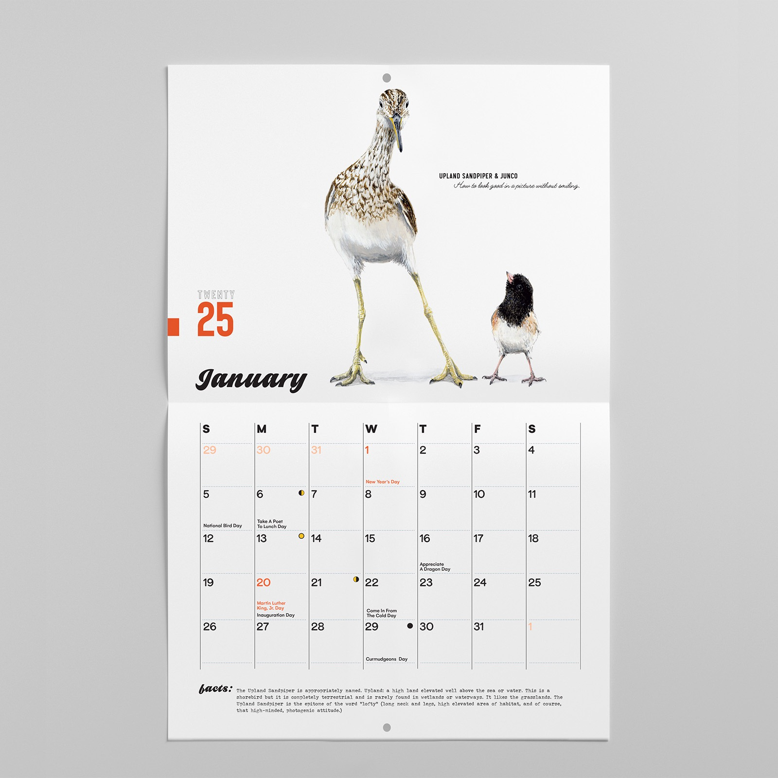 2025 Bird Calendar regarding Birds 2025 Calendar Printable