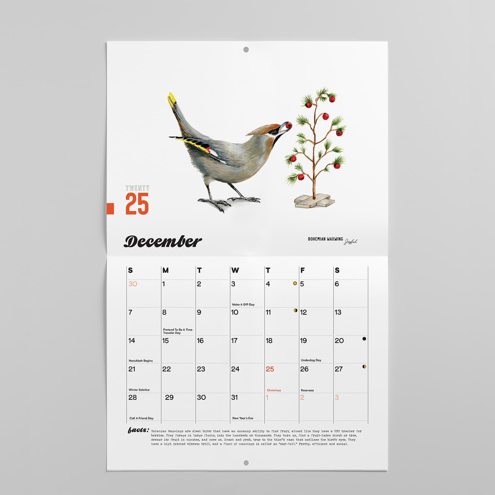 2025 Bird Calendar within Songbirds 2025 Calendar Printable