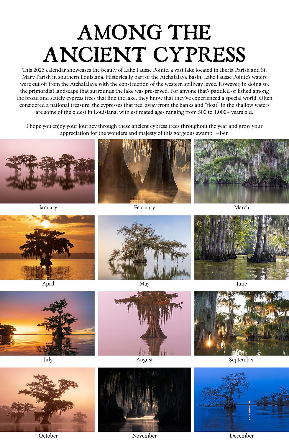 2025 Calendar - Among The Ancient Cypress | Ben Pierce Photograp with Majesty of Trees 2025 Calendar Printable