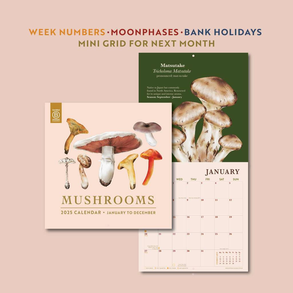 2025 Calendar | Mushroomgood Tuesday within Mushrooms 2025 Calendar Printable