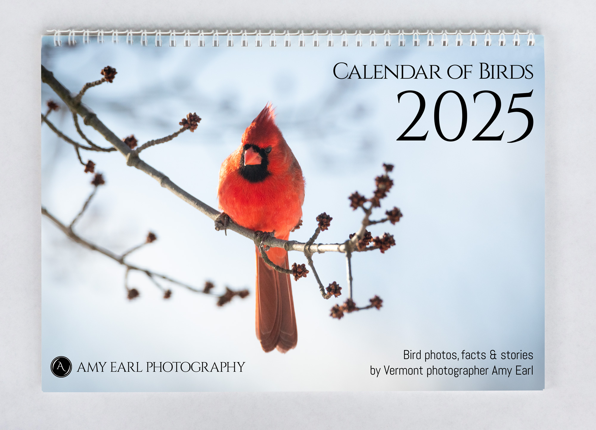 2025 Calendar Of Birds with regard to Songbirds 2025 Calendar Printable
