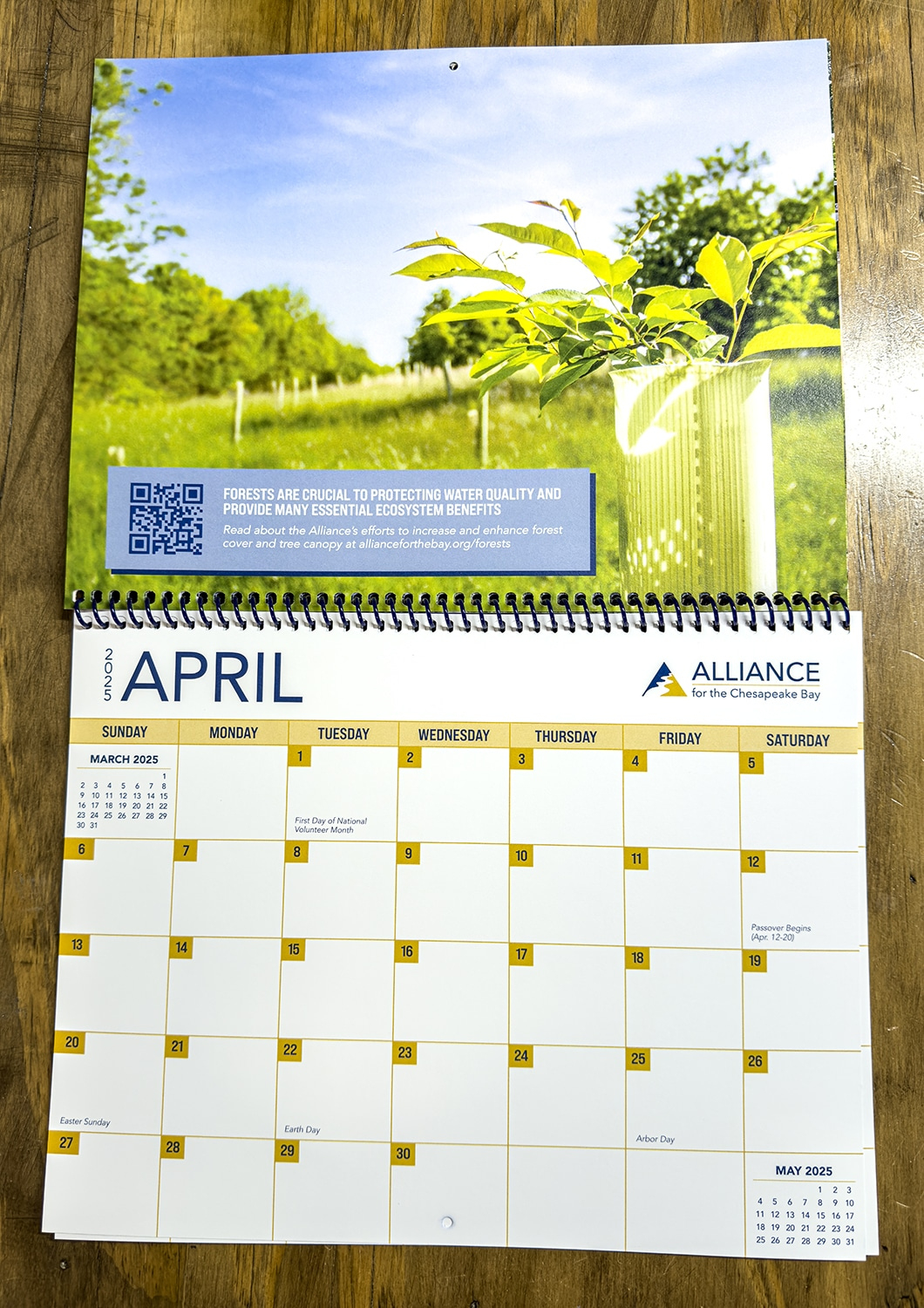2025 Calendar with Chesapeake Bay 2025 Calendar Printable