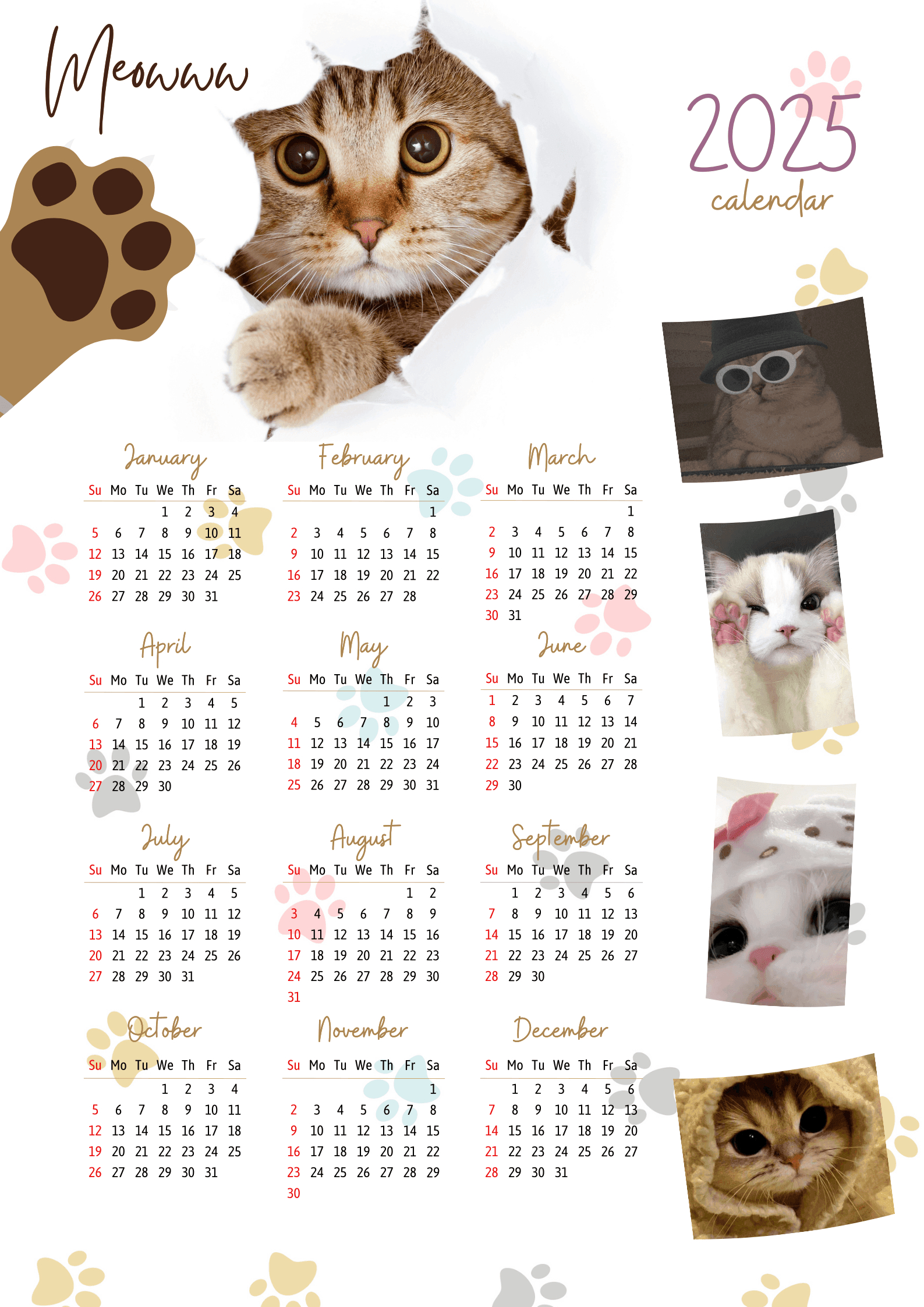 2025 Cat Calendarjershey_Santuyo - Raket.ph within Feline 2025 Calendar Printable