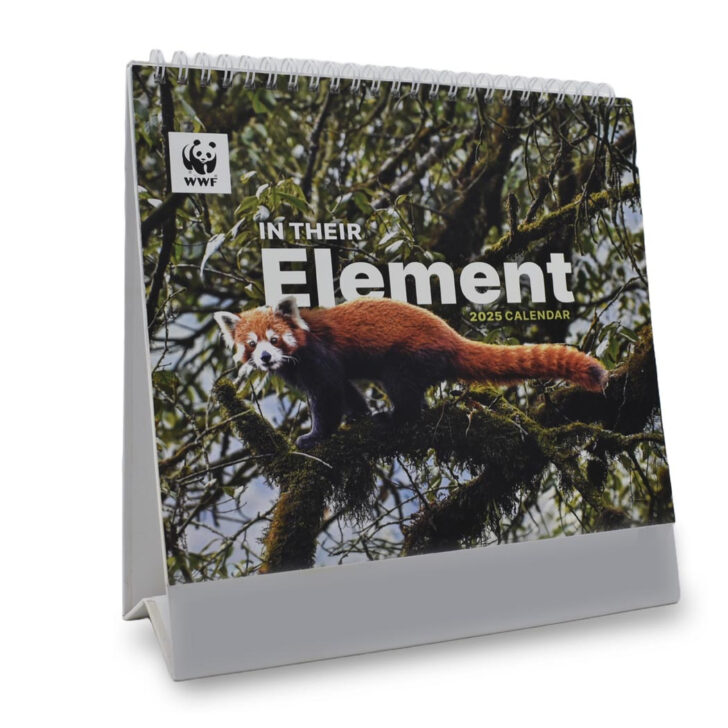 Elephants WWF 2025 Calendar Printable