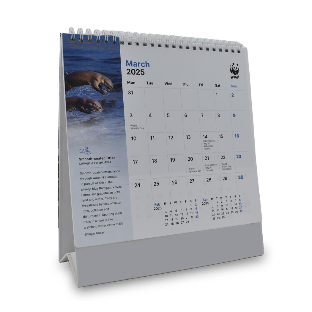 2025 Desk Calendar – In Their Element – Wwf Nature Store pertaining to Elephants Wwf 2025 Calendar Printable