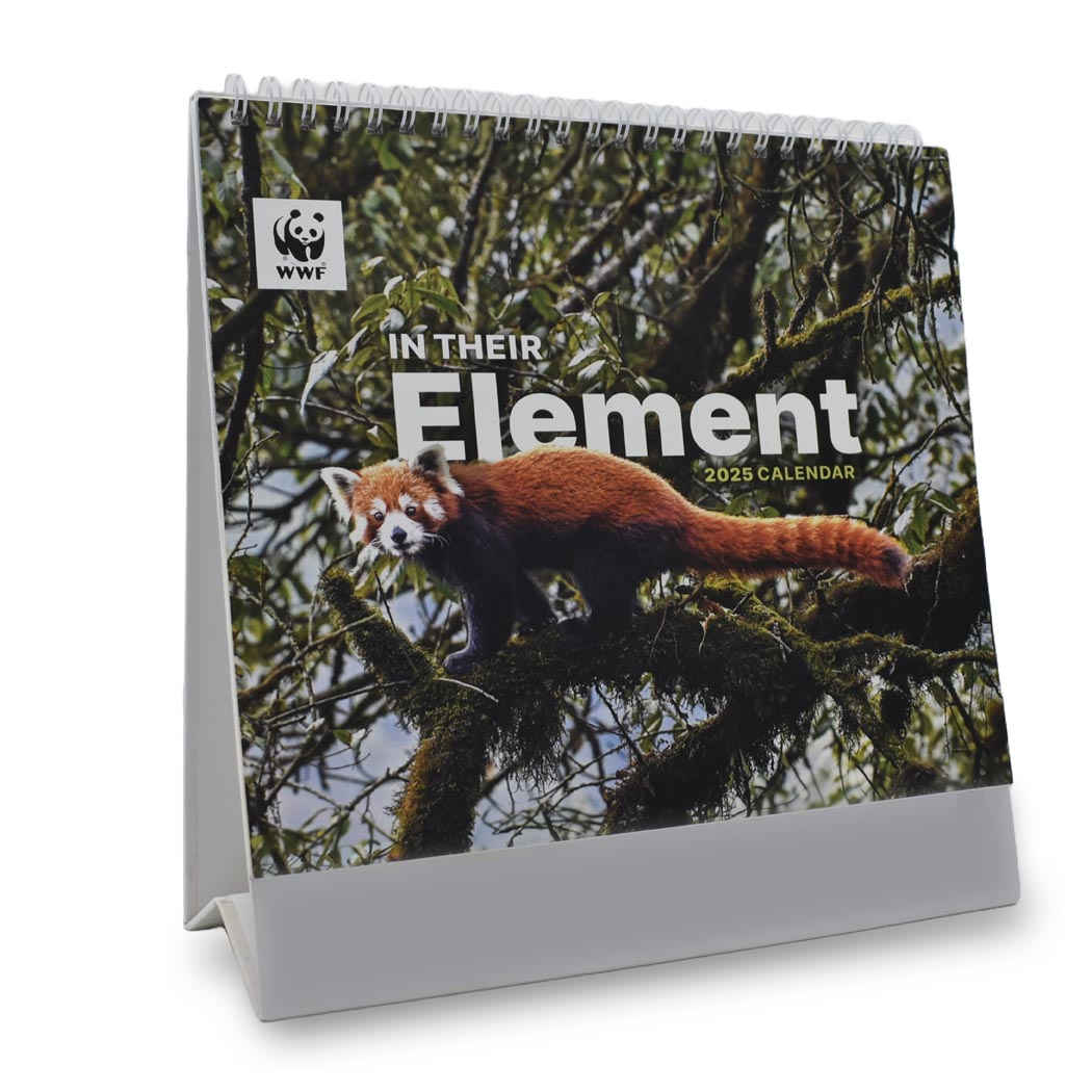 2025 Desk Calendar – In Their Element – Wwf Nature Store throughout Red Pandas Wwf 2025 Calendar Printable