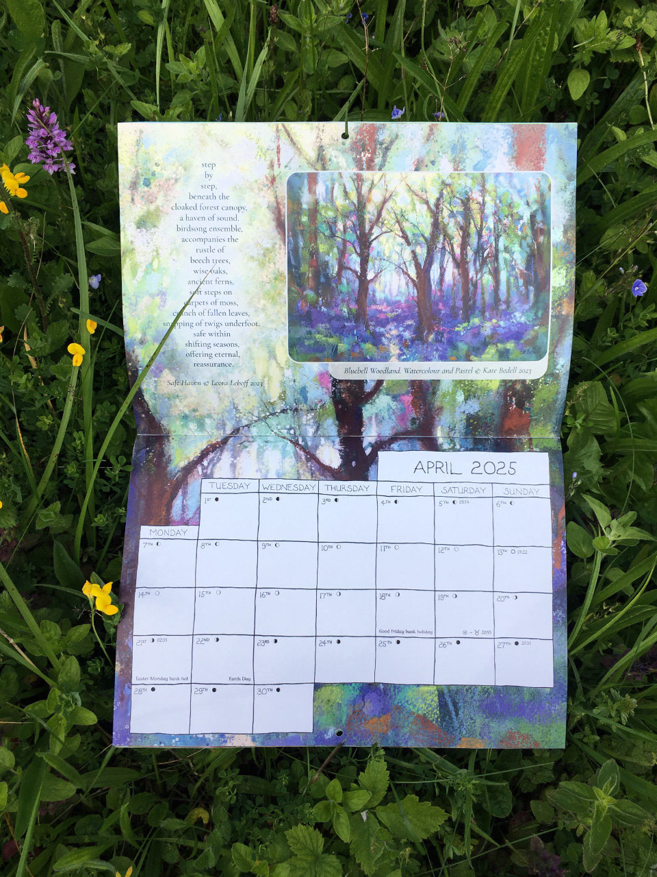 2025 Earth Pathways Wall Calendar - On Sale! in Pathways 2025 Calendar Printable