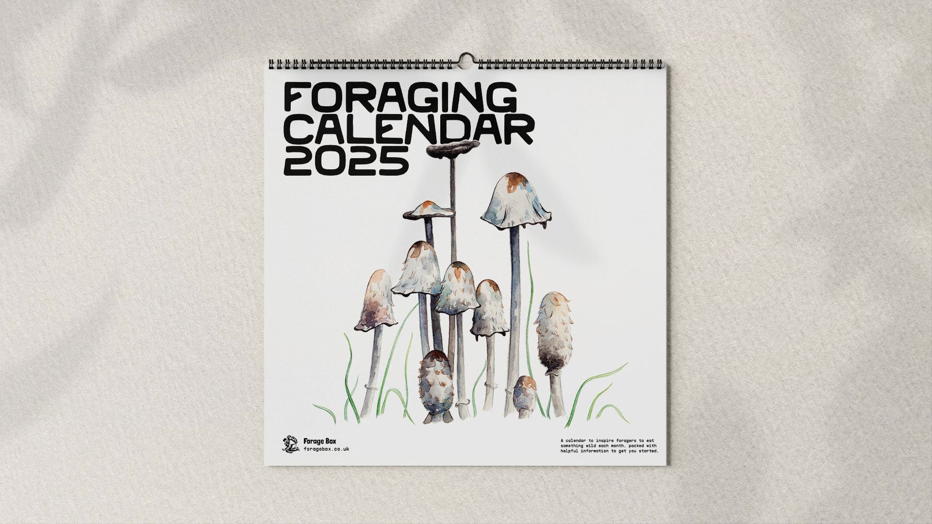 2025 Foraging Calendar intended for Monster Bucks 2025 Calendar Printable