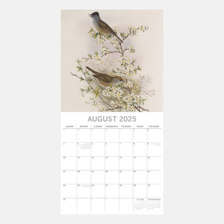 Birds 2025 Calendar  Printable