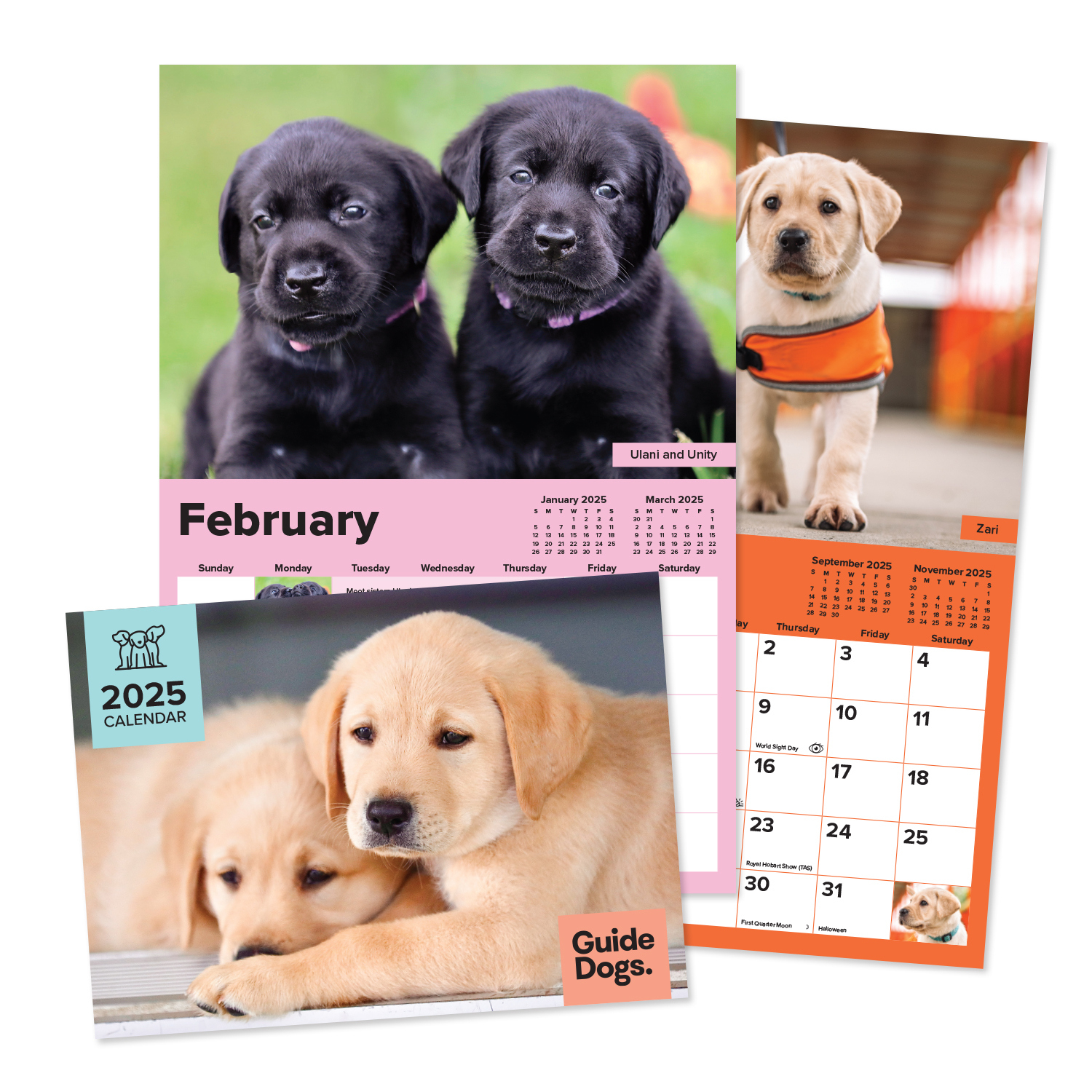 2025 Guide Dogs Calendar (A4 Size) - Guide Dogs Queensland for Doggy Want A Treat 2025 Calendar Printable