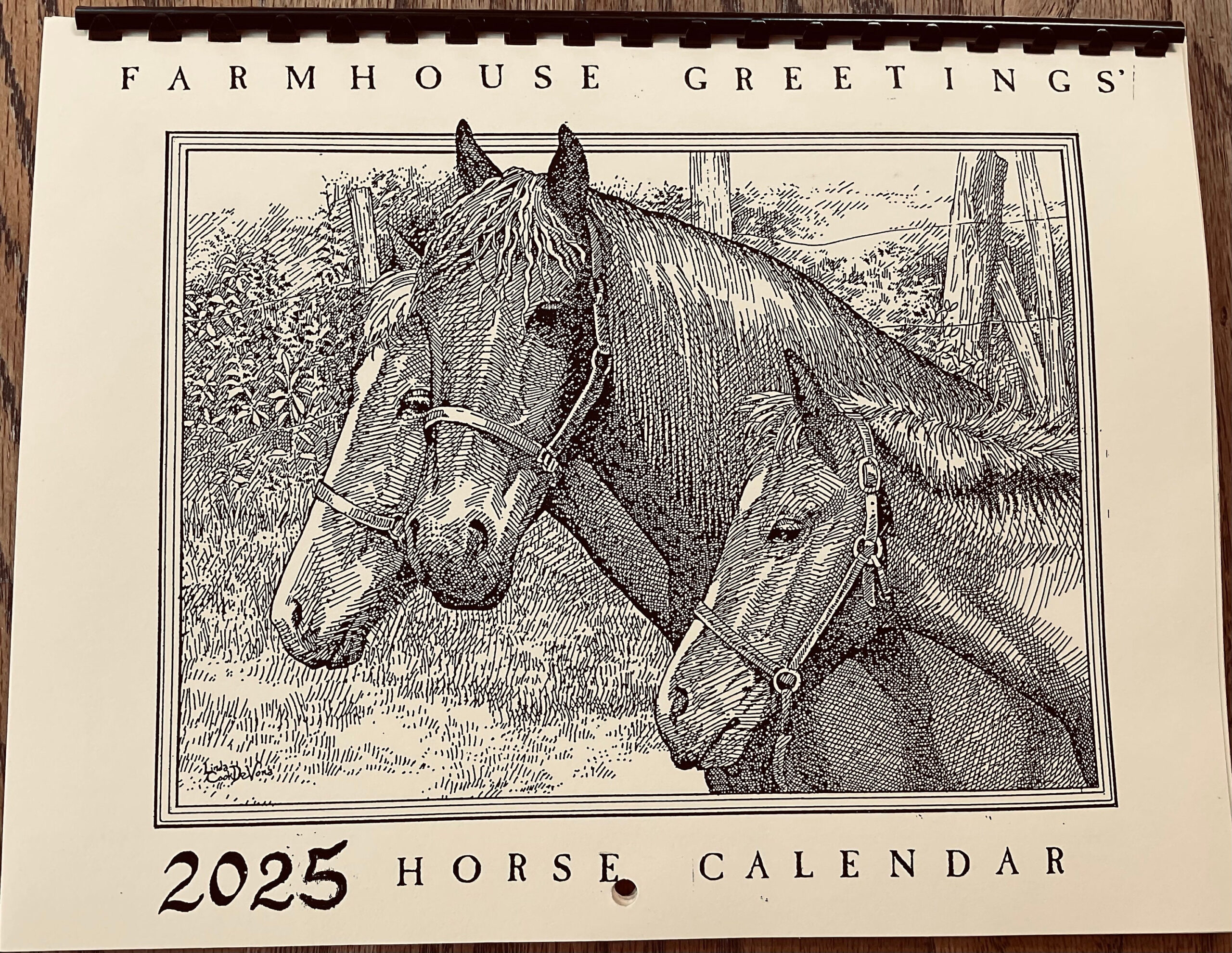 2025 Horse Calendar- Drawn, Printed And Producedlc Devona with regard to Magnificent Horses Plato 2025 Calendar Printable