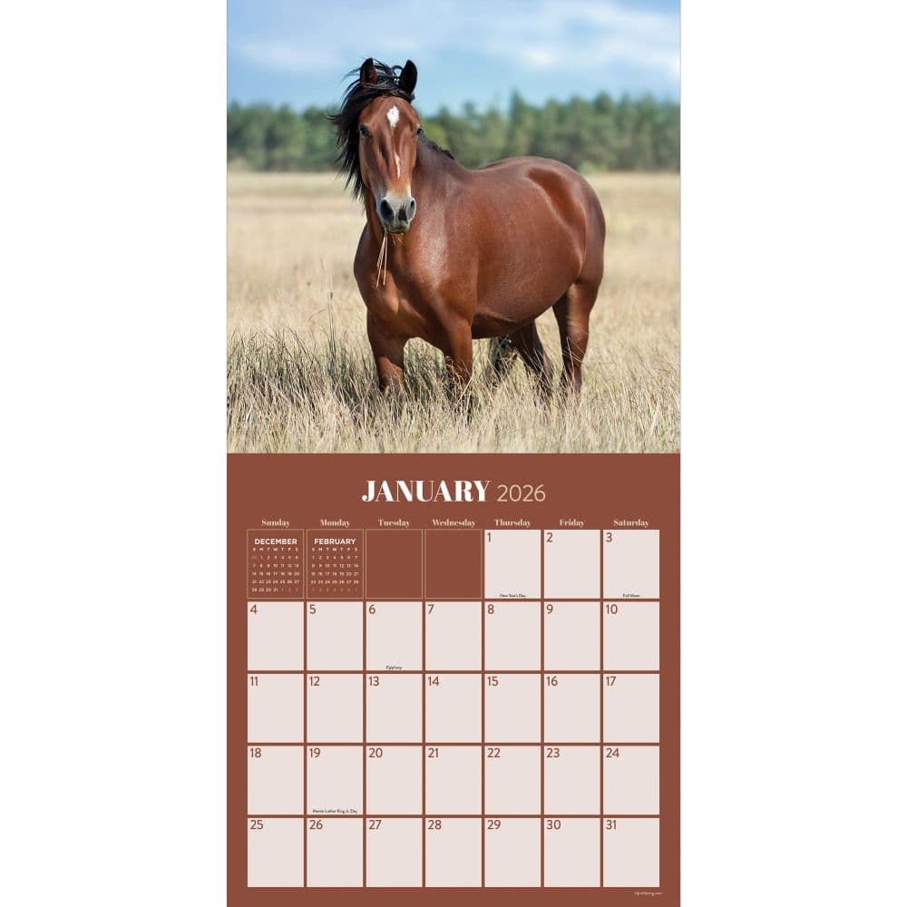 2025 Horse Calendars, Majestic And Noble Companions - Calendars for Horses By Hautman Brothers 2025 Calendar Printable