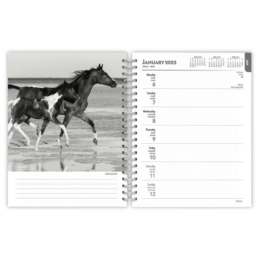 2025 Horse Calendars, Majestic And Noble Companions - Calendars with regard to Horse Lovers 2025 Calendar Printable