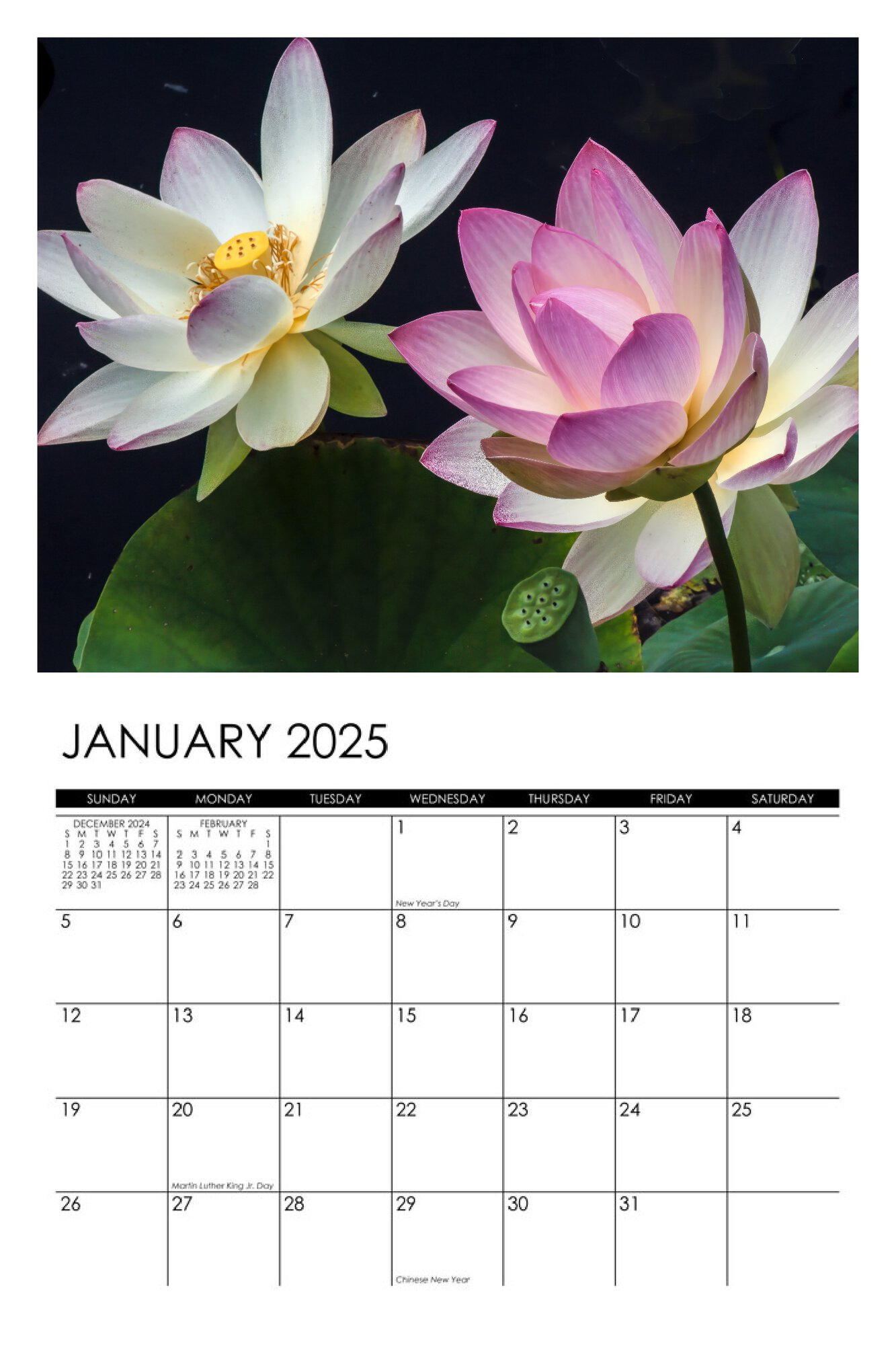 2025 Lotus Calendar pertaining to White Lotus 2025 Calendar Printable