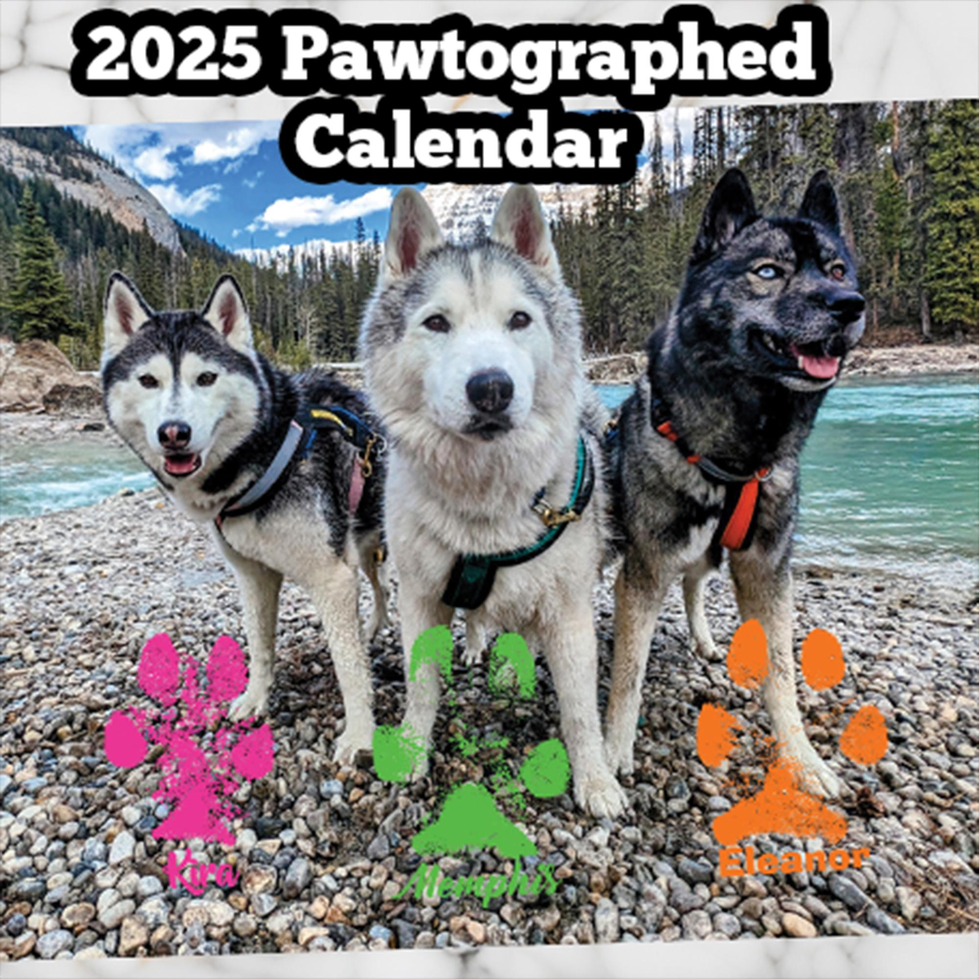 2025 Pawtographed Gone To The Snow Dogs Calendar! - Etsy throughout Just Siberian Husky Puppies 2025 Calendar Printable