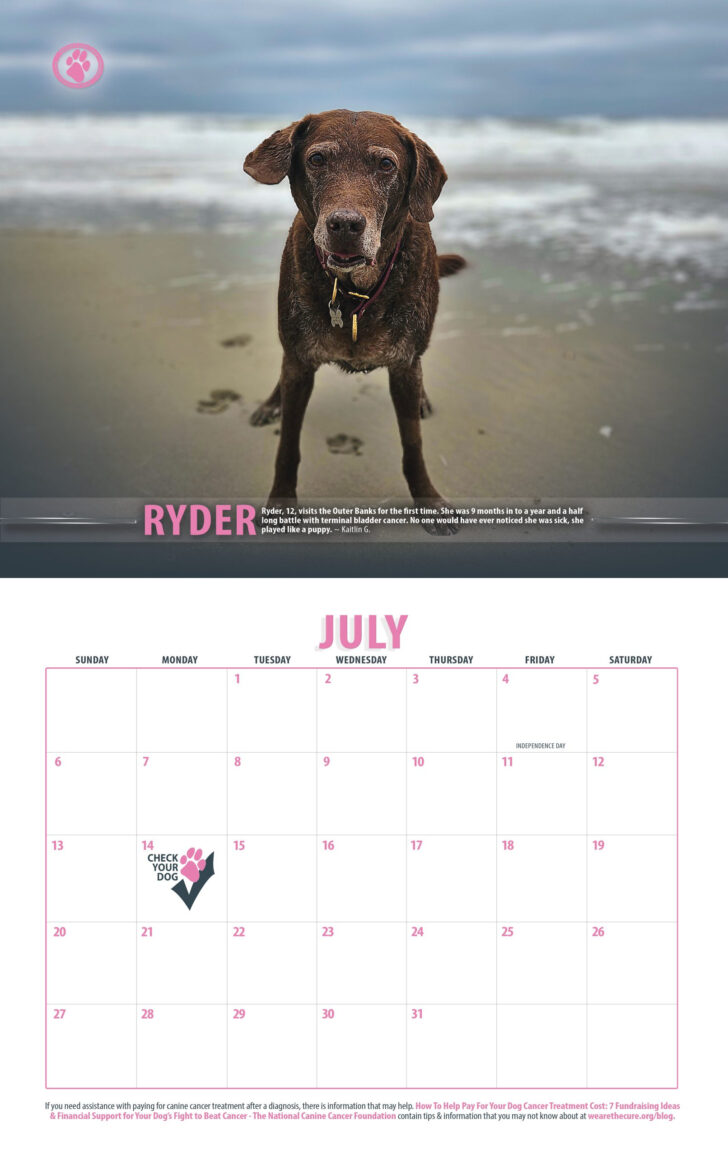 Puppies in Pink 2025 Calendar Printable
