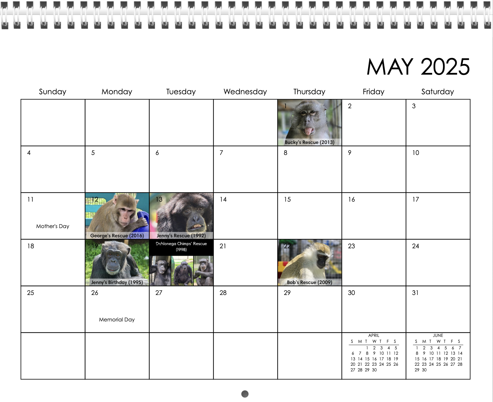 2025 Prc Photo Calendar | Primate Rescue Center pertaining to Monkey Business 2025 Calendar Printable