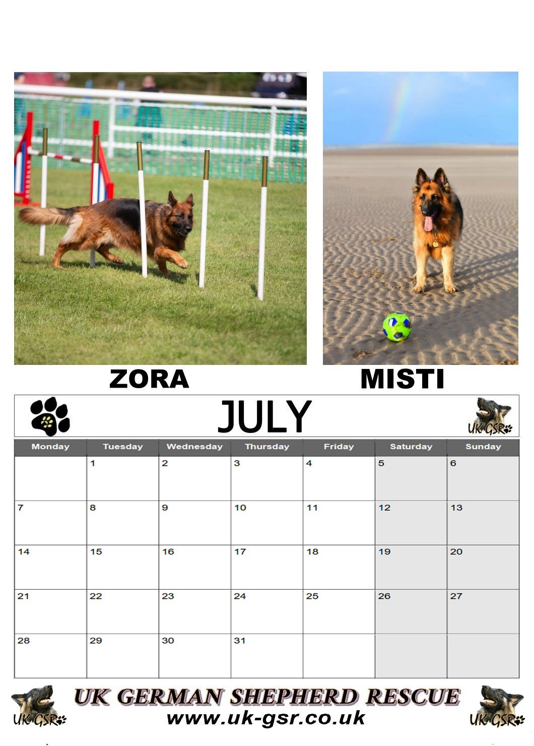 2025 Rescue Calendars intended for Sporting Dogs 2025 Calendar Printable