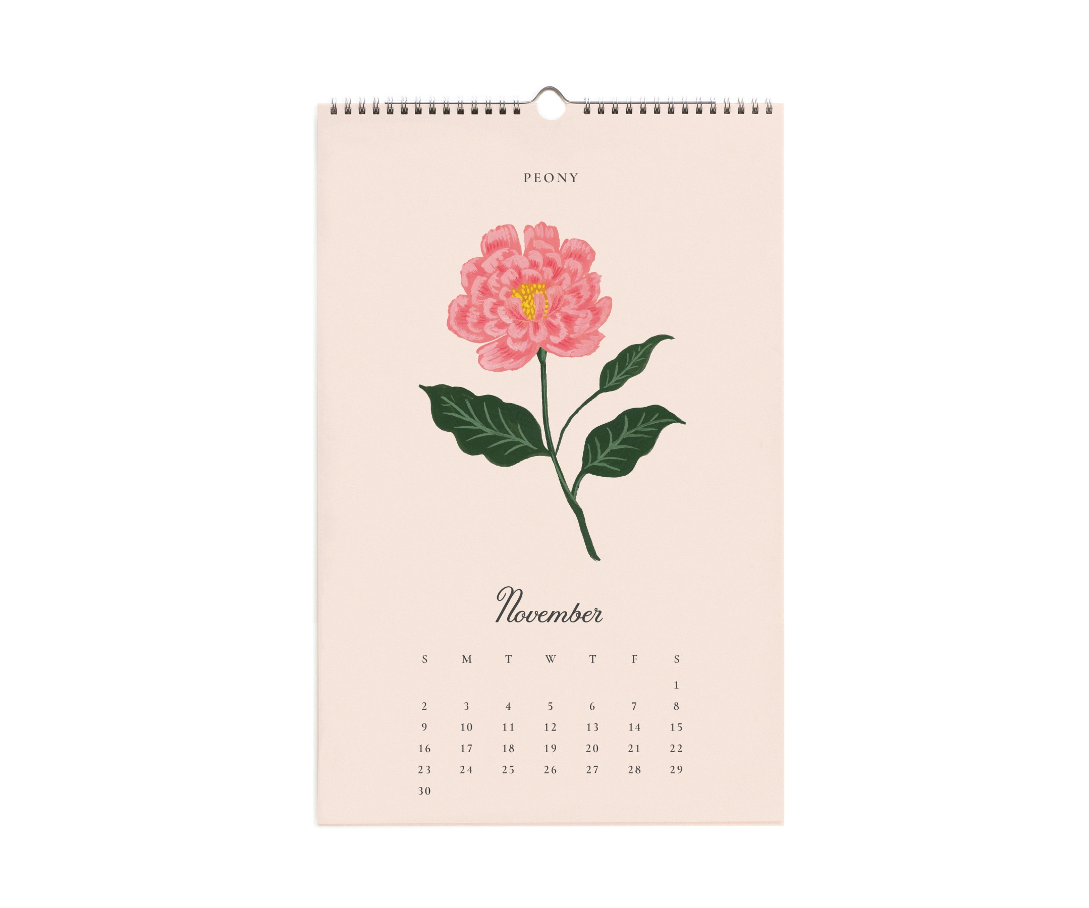 2025 Say It With Flowers Wall Calendar - Rifle Paper Co. Calendar within Say It With Flowers 2025 Calendar Printable