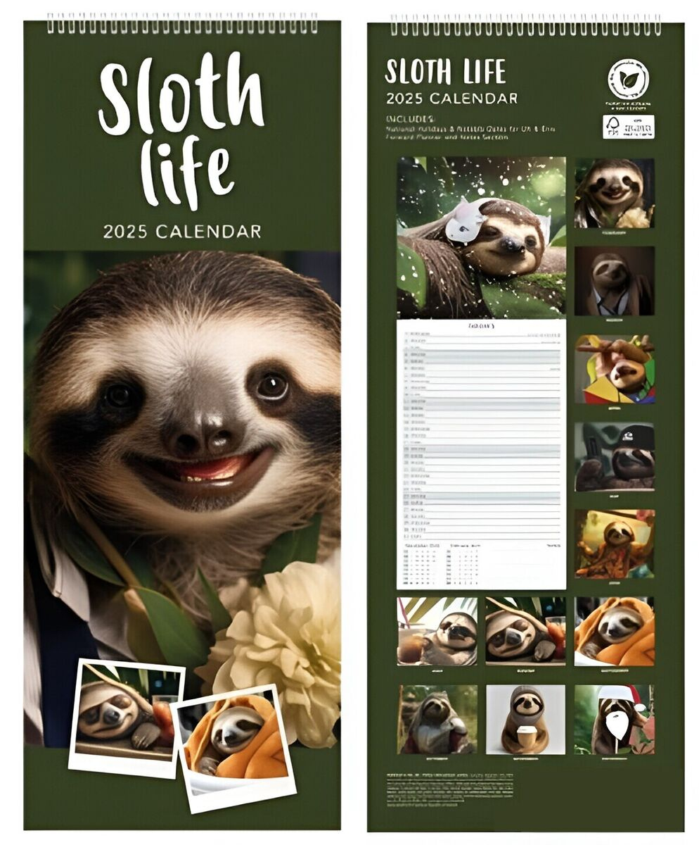 2025 Slim Month To View Spiral Bound Cute Illustrative Wall inside Sloth Life 2025 Calendar Printable