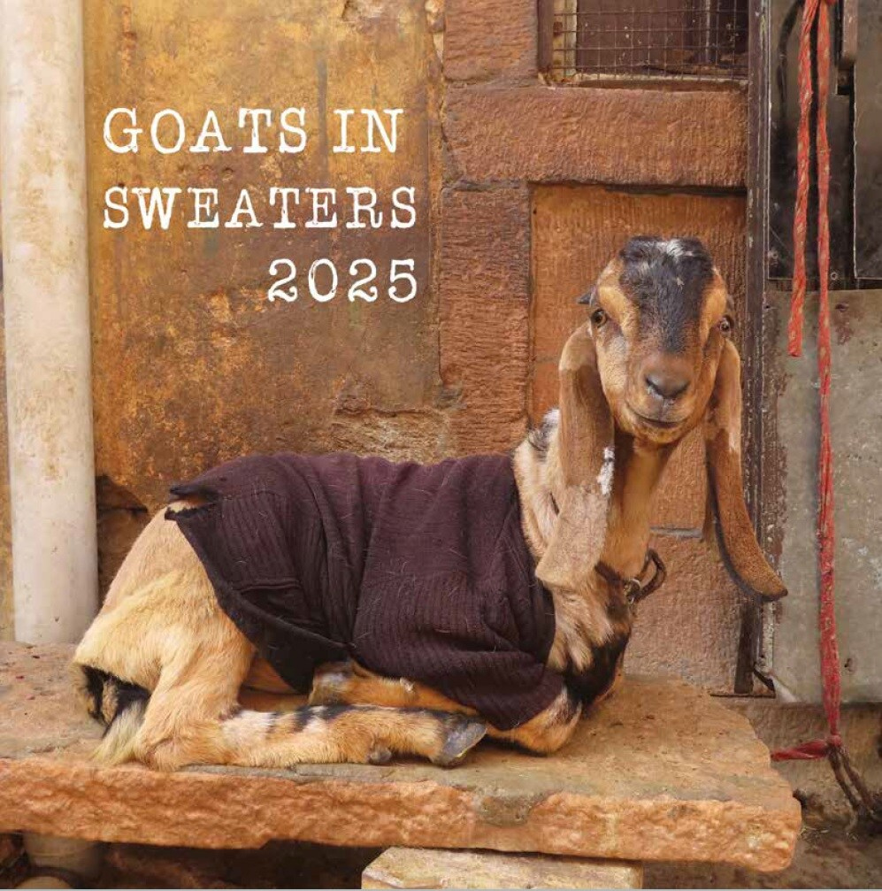2025 Sweatered Goat Calendar with regard to You Goat This 2025 Calendar Printable