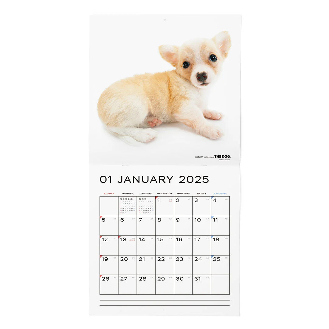 2025 The Dog Calendar Chihuahua | Ebay inside Just Chihuahua Puppies 2025 Calendar Printable