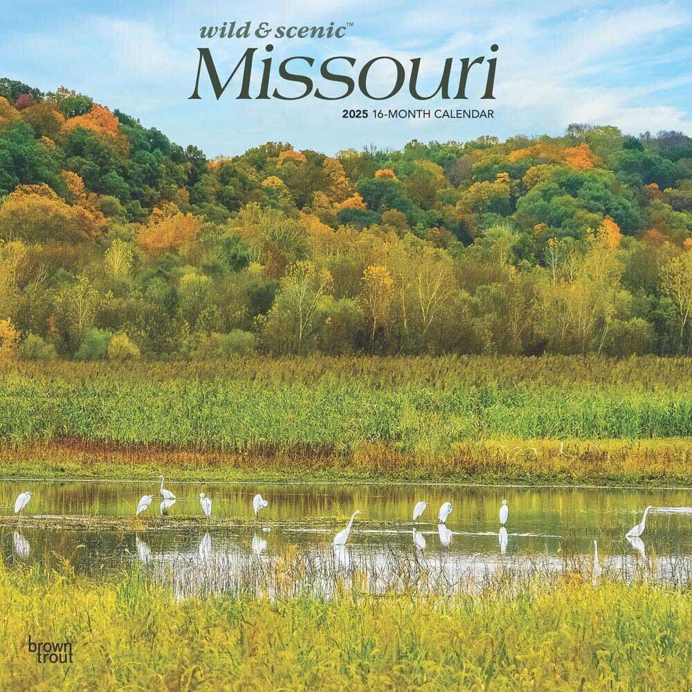 2025 Wall Calendar 24 X 12 intended for Washington Wild And Scenic 2025 Calendar Printable