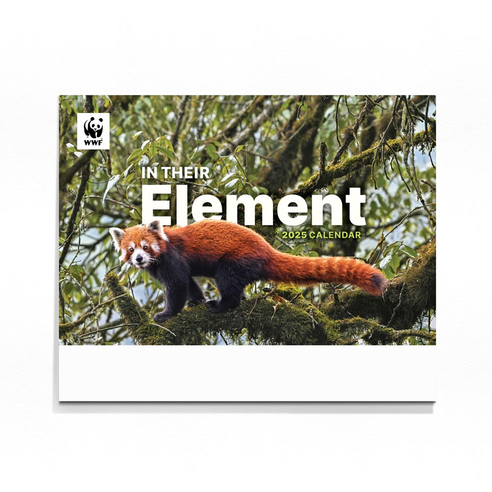 2025 Wall Calendar – In Their Element – Wwf Nature Store throughout Red Pandas WWF 2025 Calendar Printable