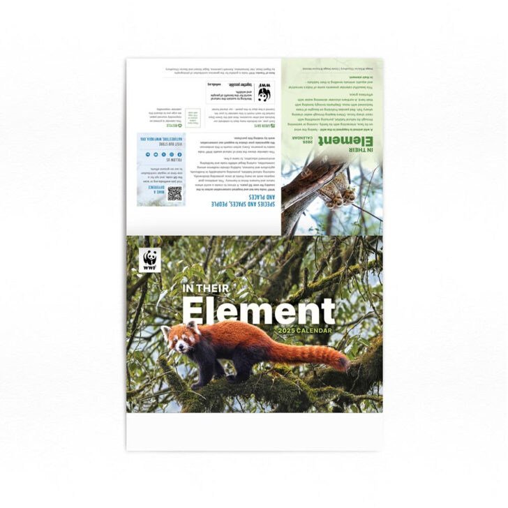 Red Pandas WWF 2025 Calendar Printable