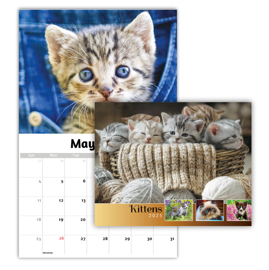 2025 Wall Calendar | Kittens within Curious Kittens 2025 Calendar Printable
