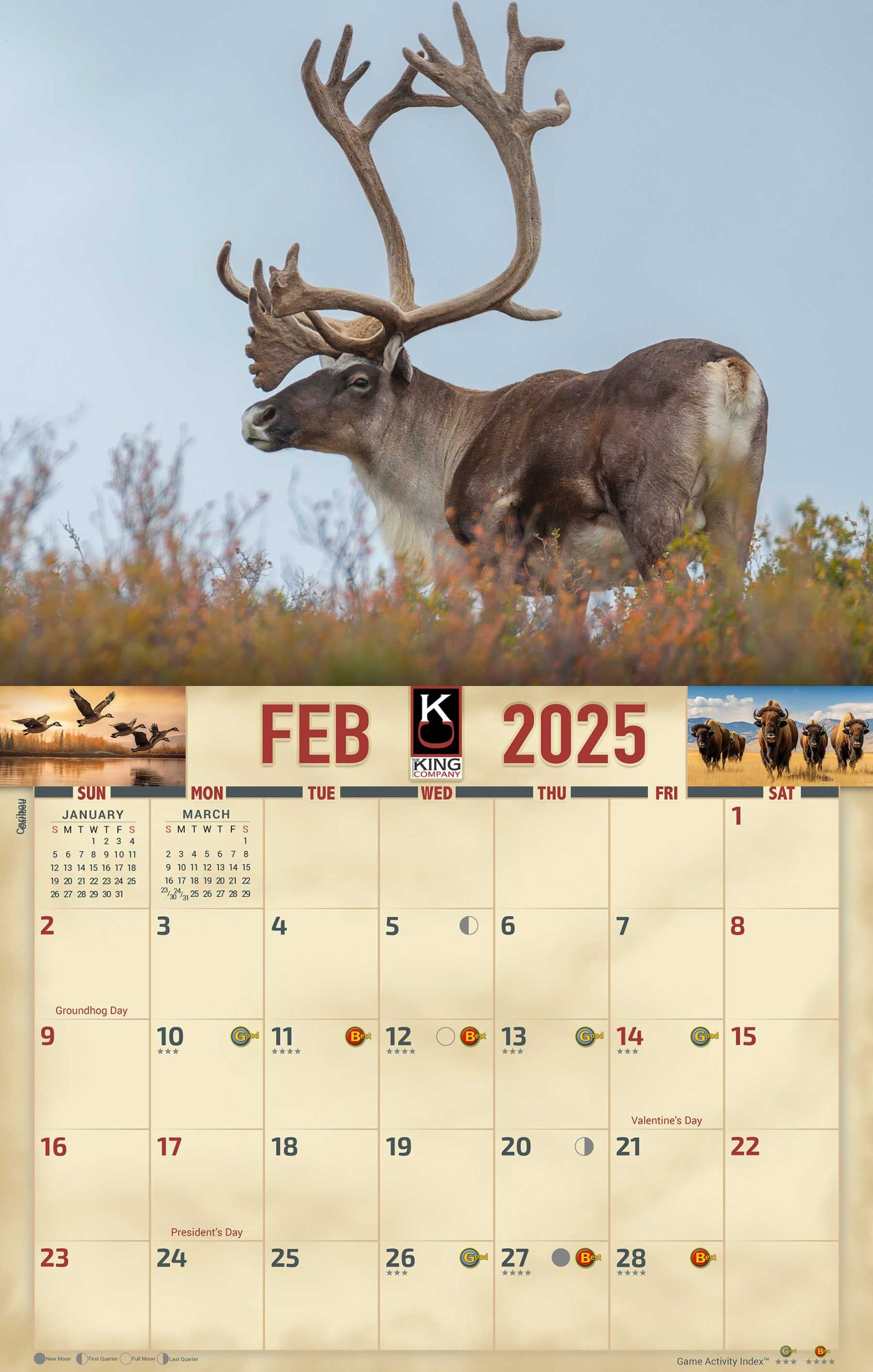 2025 Wildlife Calendar Of North America | 48-Calendar Awards pertaining to Rocky Mountain Wildlife 2025 Calendar Printable