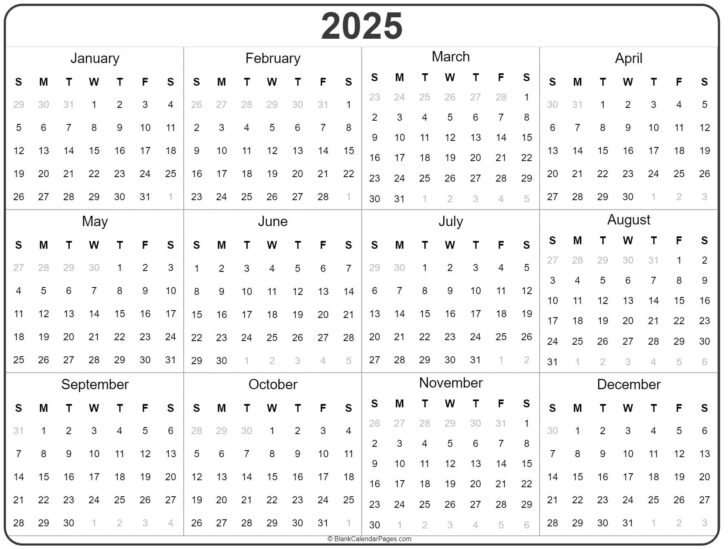 Texas 2025 Calendar Printable