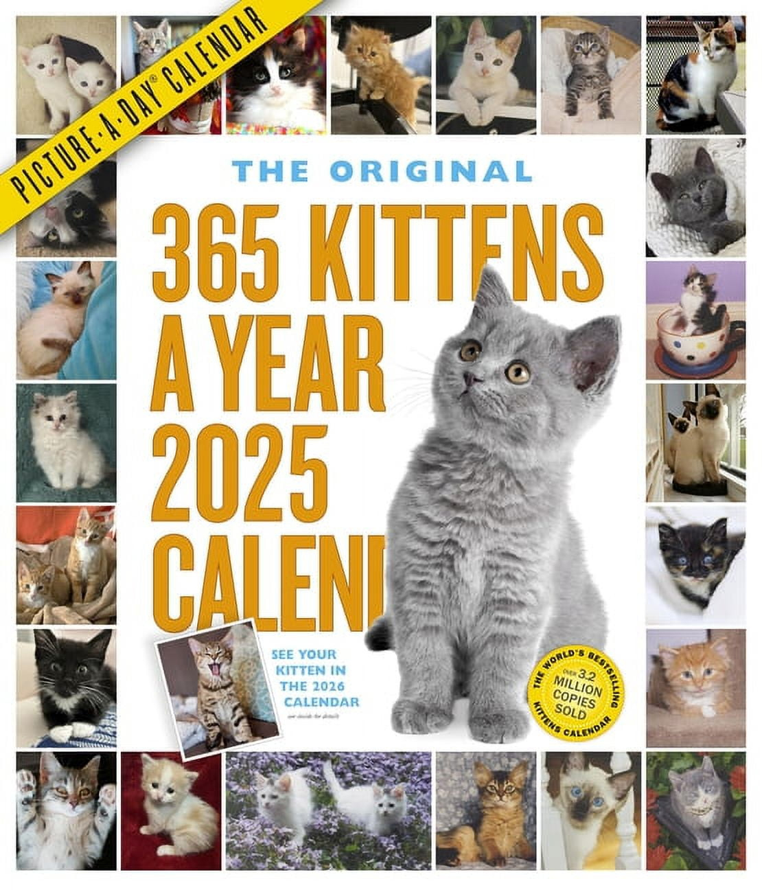 365 Kittens-A-Year Picture-A-Day(R) Wall Calendar 2025, (Paperback) in British Shorthair Cats 2025 Calendar Printable