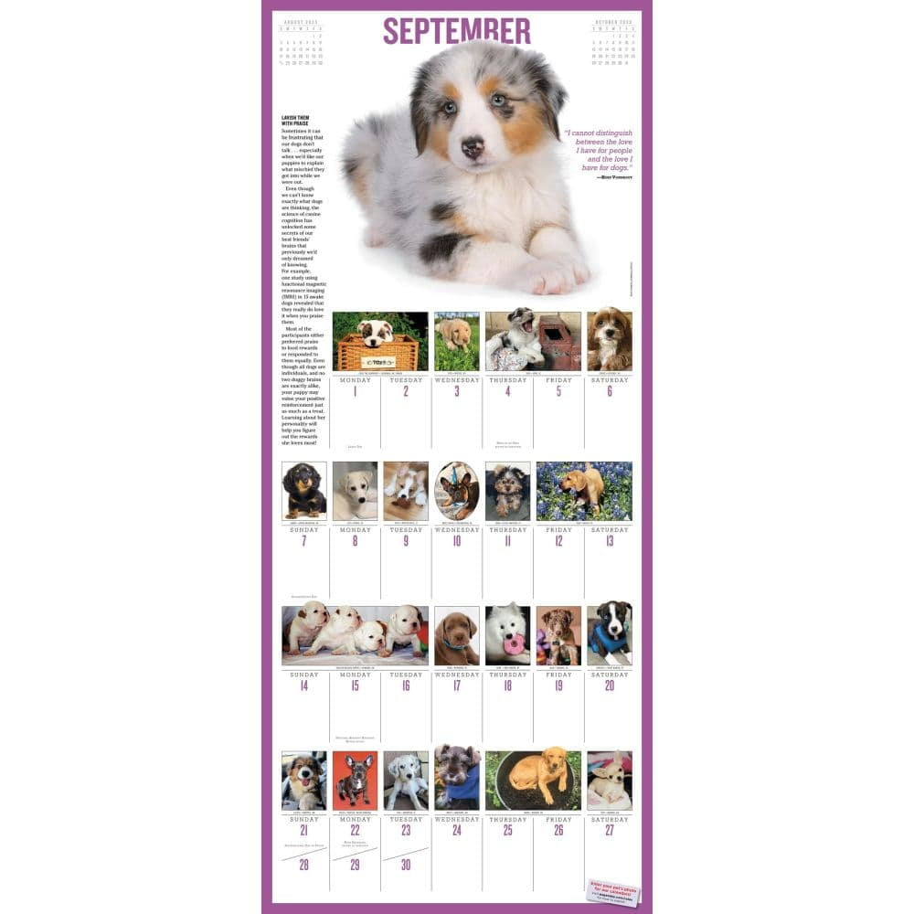 365 Puppies-A-Year Picture-A-Day(R) Wall Calendar 2025, (Paperback) pertaining to Puppies 365 Days 2025 Calendar Printable