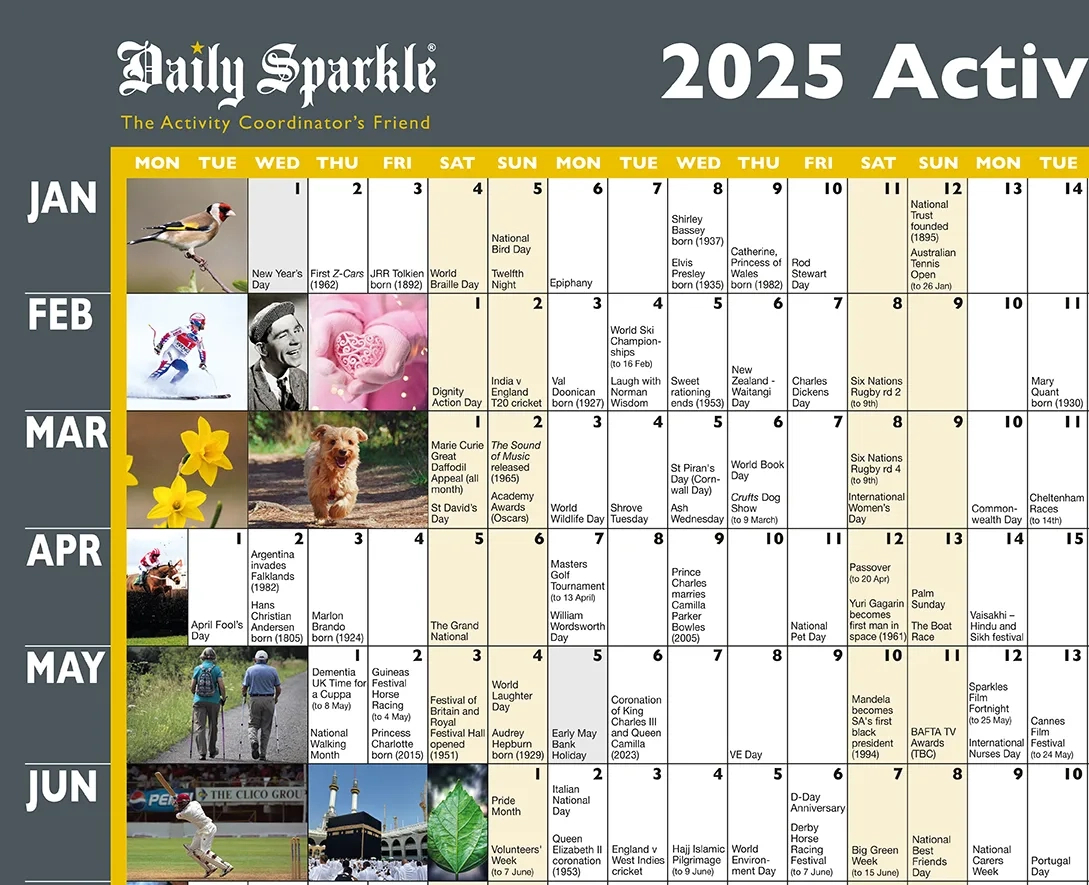 Activity Wall Planner 2025 - Daily Sparkle intended for June Activity Calendar For Seniors 2025