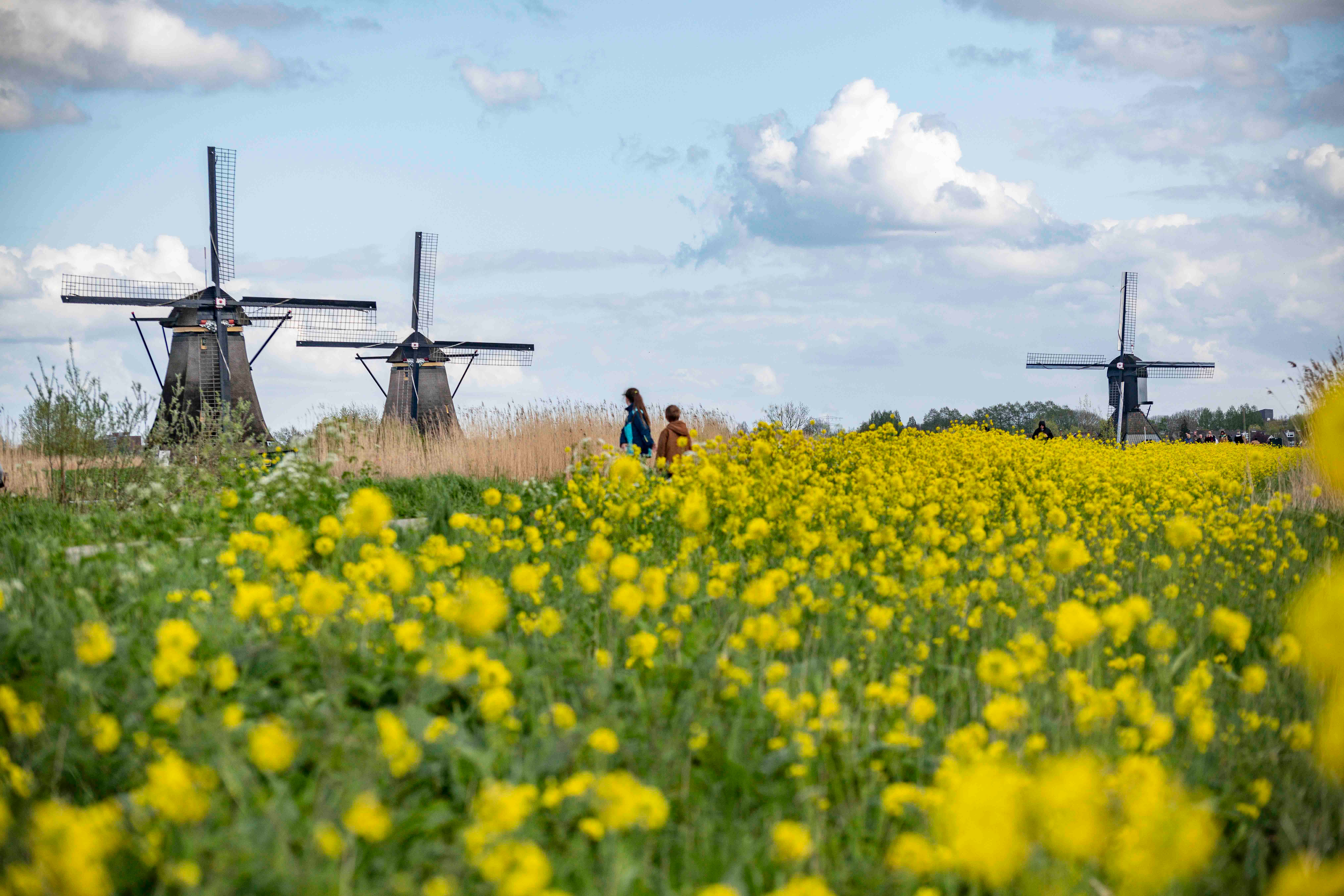 Adventuresdisney 2025 Itineraries Include Holland And Belgium throughout Windmills of Holland 2025 Calendar Printable