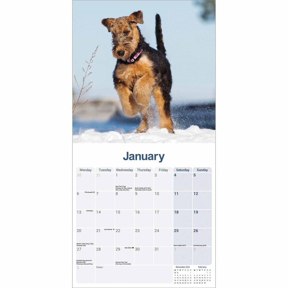 Airedale Terrier Calendar 2025 - Dogs - Month To View within Just Airedale Terriers 2025 Calendar Printable