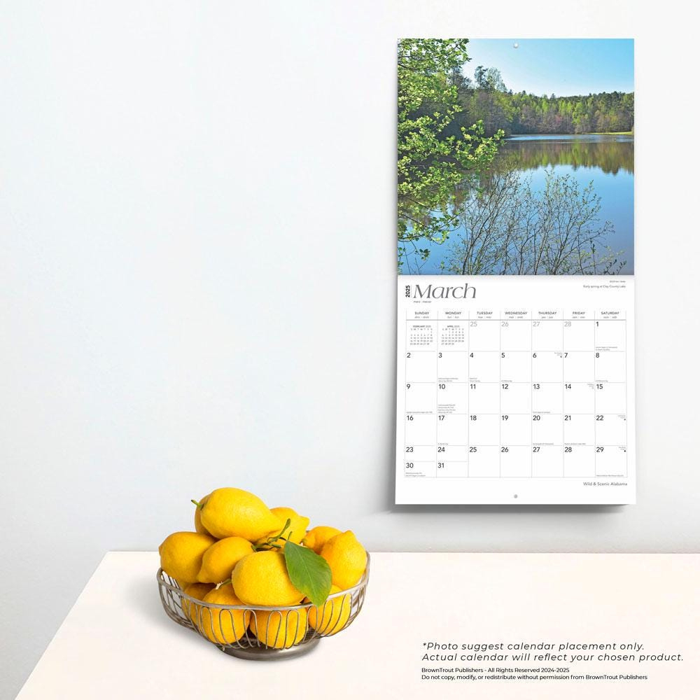 Alabama Wild &amp;amp; Scenic 2025 12 X 24 Inch Monthly Square Wall regarding Alabama Wild And Scenic 2025 Calendar Printable