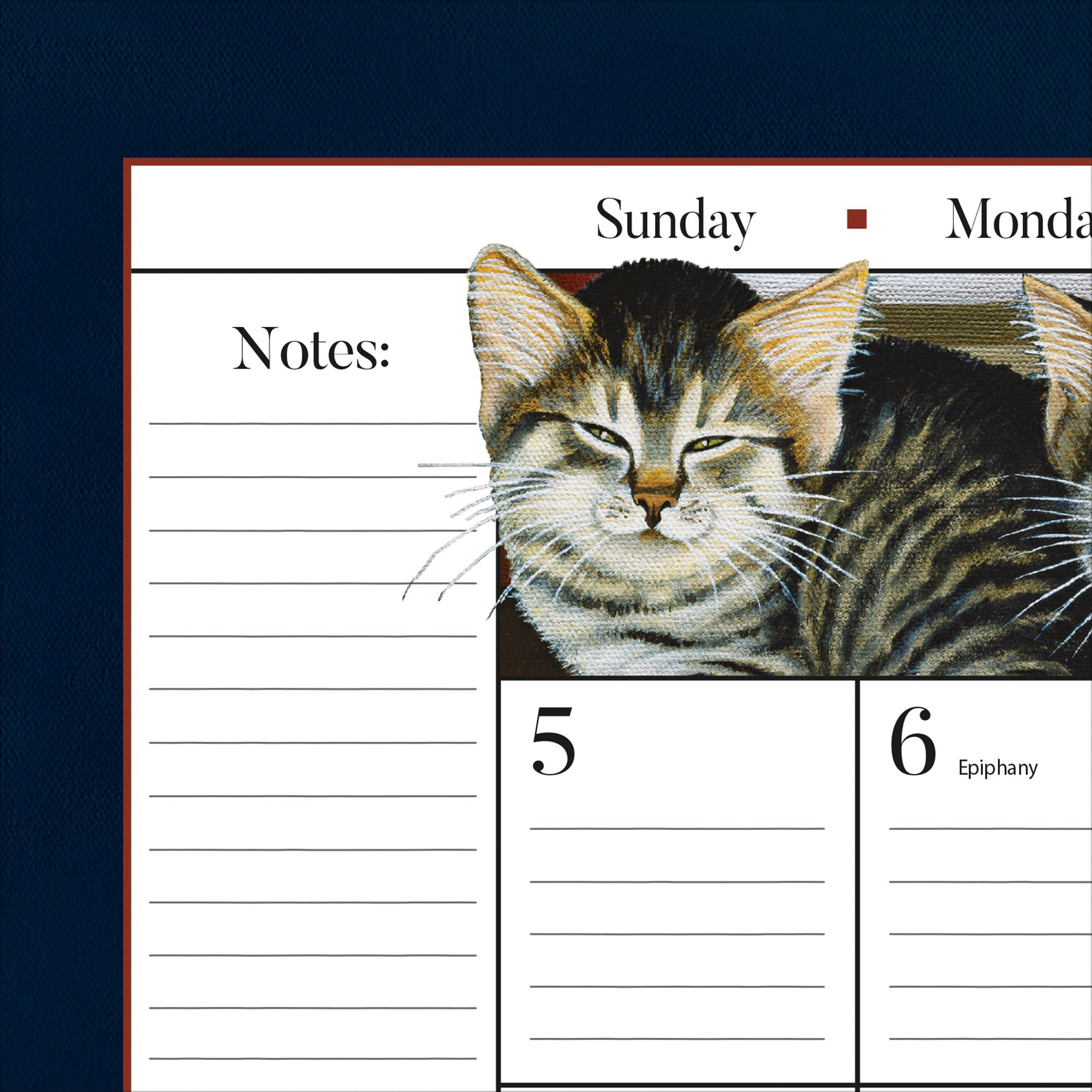 Amerikanische Katze Tischkalender 2025 throughout Tabby Cats 2025 Calendar Printable