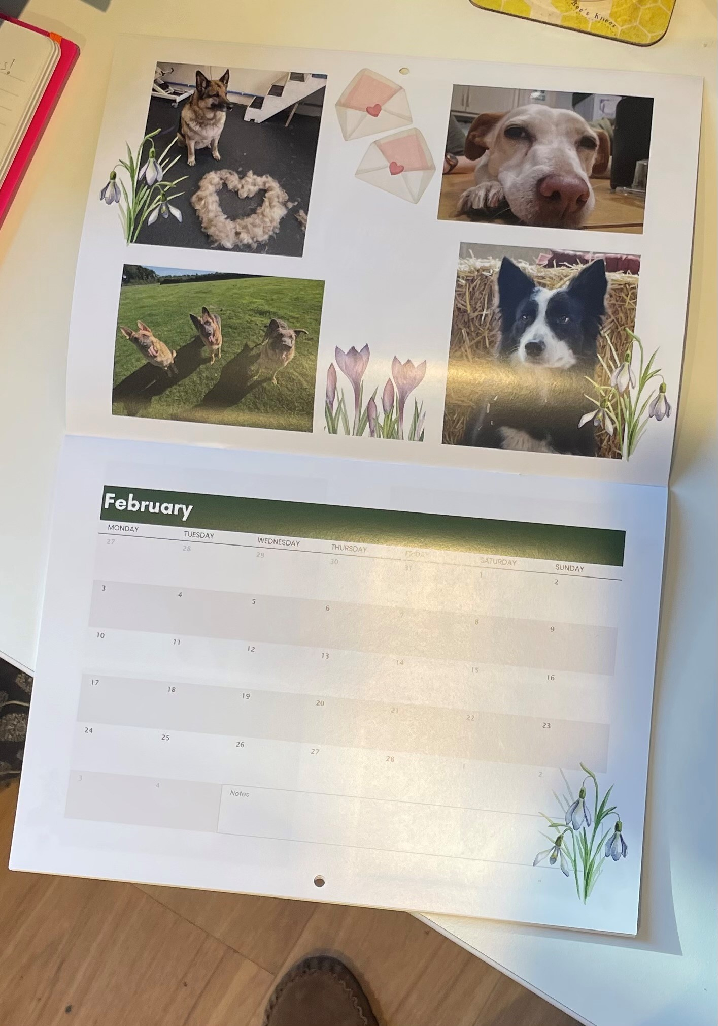 Animal Antiks 2025 Calendar pertaining to Animal Antics 2025 Calendar Printable