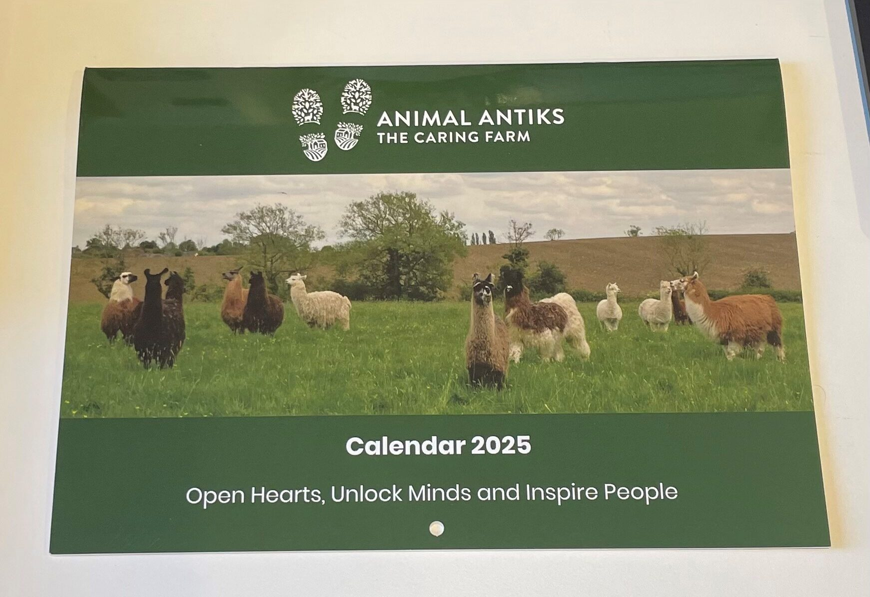Animal Antiks 2025 Calendar regarding Animal Antics 2025 Calendar Printable
