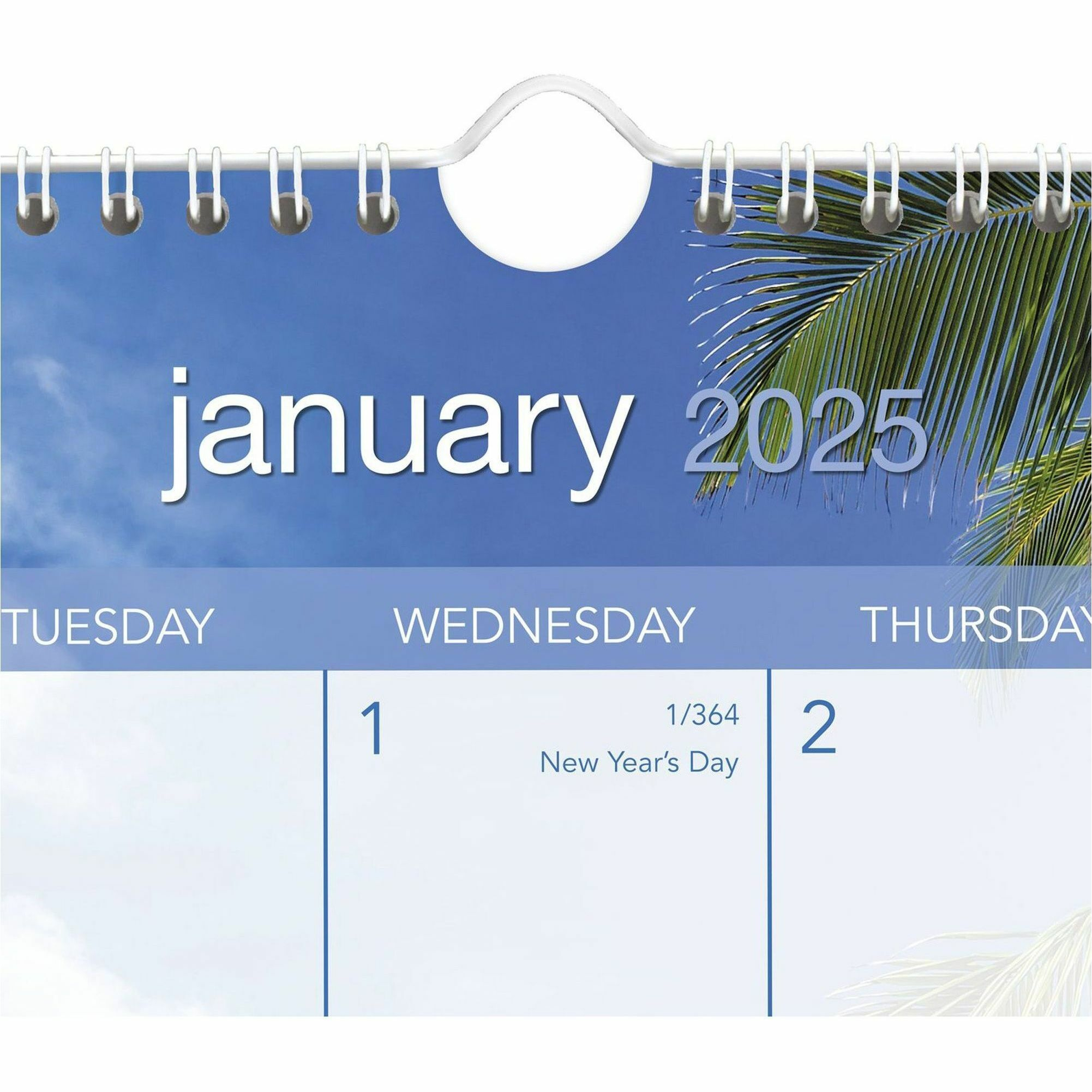 At-A-Glance Tropical Escape Wall Calendar with Tropical Escapes 2025 Calendar Printable