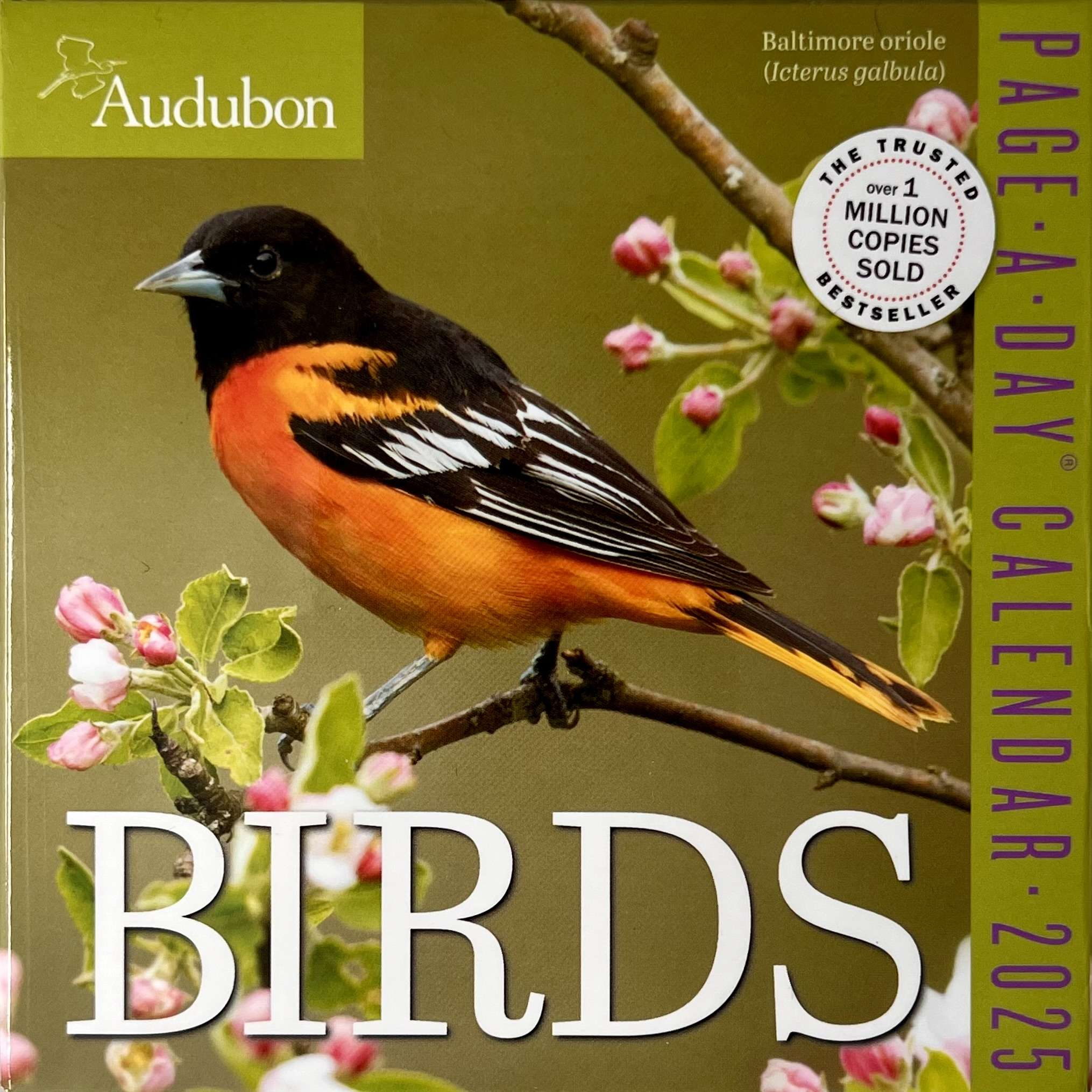 Audubon Birds 2025 Page-A-Day Desk Calendar with regard to Audubon 365 Songbirds 2025 Calendar Printable