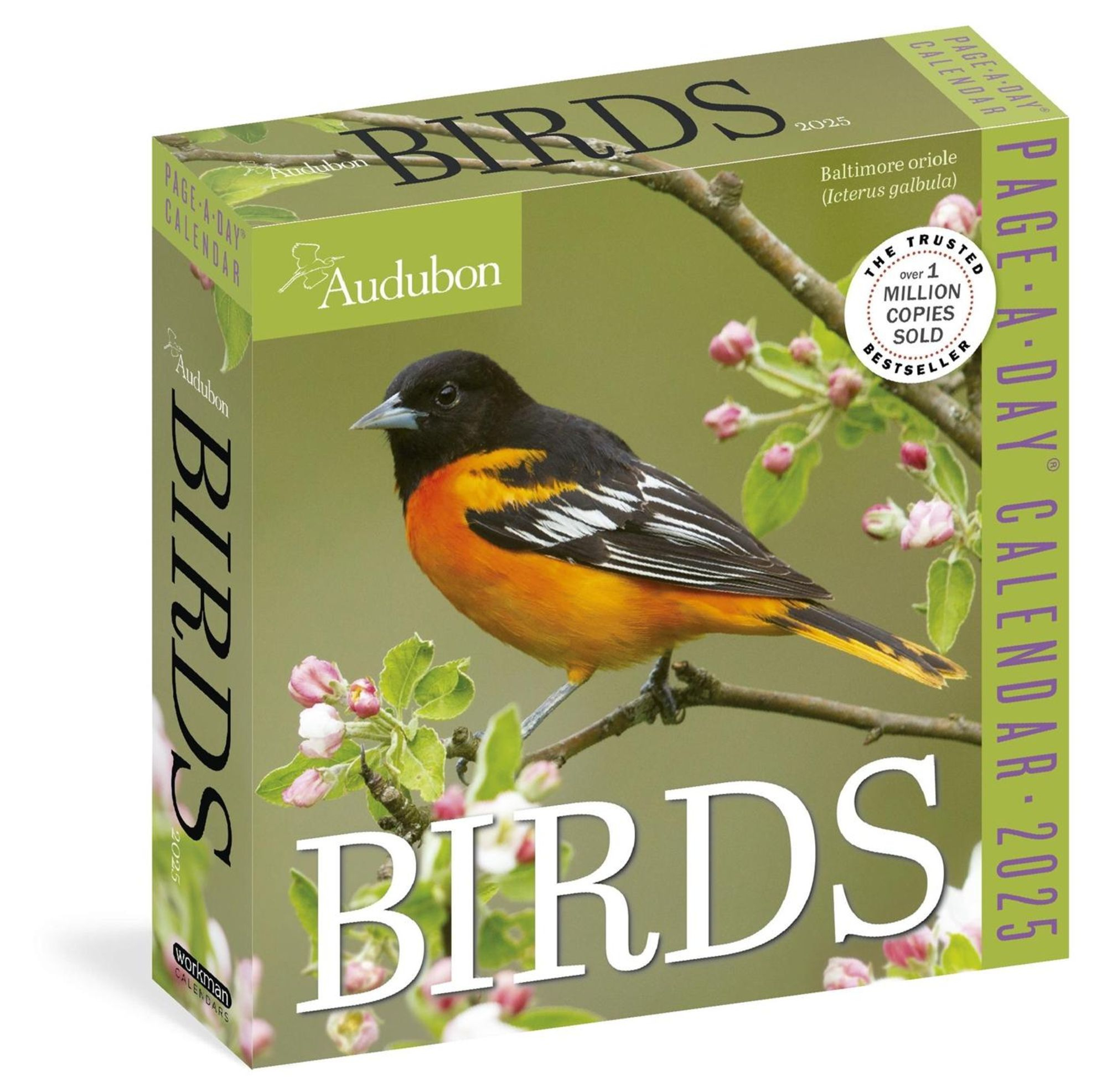Audubon Birds Page-A-Day(R) Calendar 2025 regarding Audubon 365 Songbirds 2025 Calendar Printable